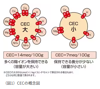 CECの概念のイメージ図