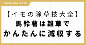 ブログのアイキャッチ画像