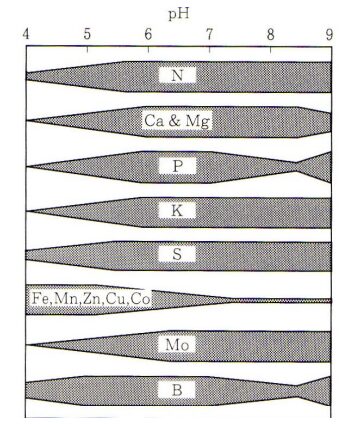 微量要素とpH